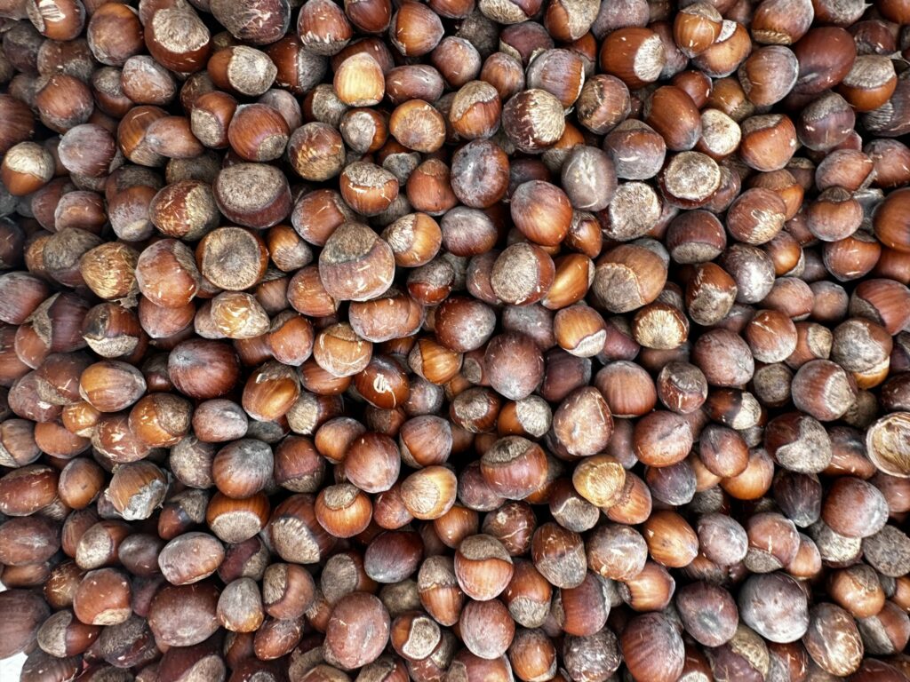 Horizontal Hazelnuts