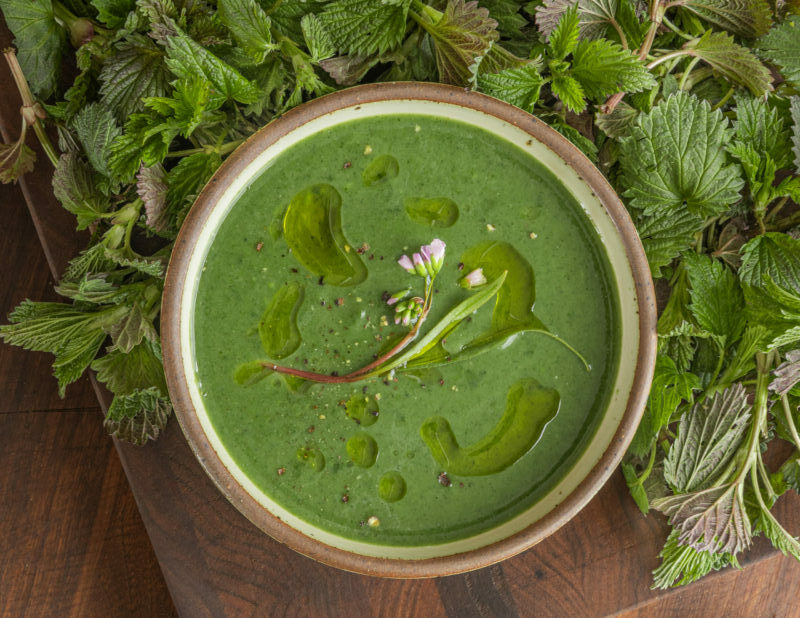 Stinging Nettle Soup